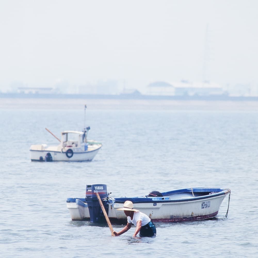 公式 川ばた乃エキス 創業明治15年 公式 川ばた乃エキス 創業明治15年