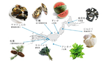 sanchi-map.jpg